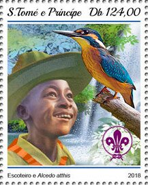 Scout and Kingfisher
