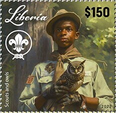 Scout and owls
